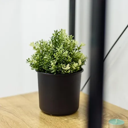 Toledo 26 Apartamento